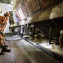 Décryptage sur l’origine de la biomasse utilisée dans le mix énergétique du réseau de chaleur de la Ville de Paris